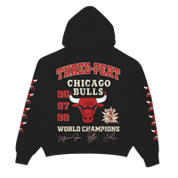 Bulls Hoodie